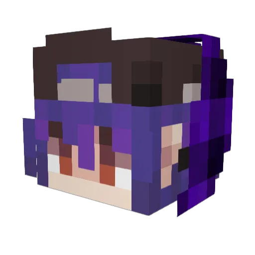 joac1557 Minecraft avatar head, 3D render
