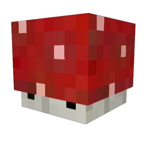 joacoaudi Minecraft avatar head, 3D render