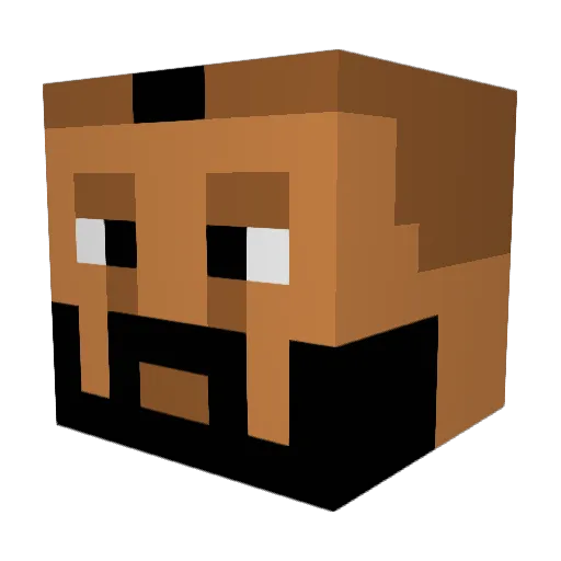 joacoo_ Minecraft avatar head, 3D render