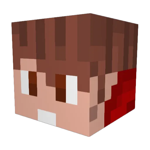joao18br Minecraft avatar head, 3D render