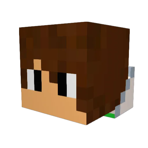 joaofranciscosl Minecraft avatar head, 3D render