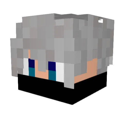 joaogamer55011 Minecraft avatar head, 3D render
