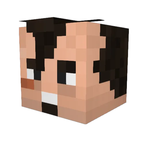 joaoleal06 Minecraft avatar head, 3D render