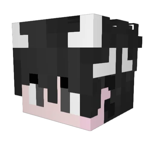 joaoo_xx Minecraft avatar head, 3D render