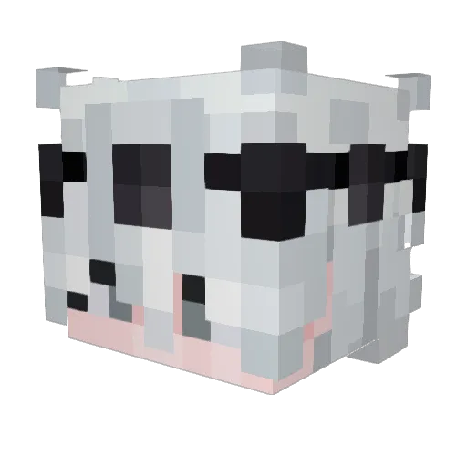 Minecraft-Avatar von joaovitor2110: Kopf als 3D-Render
