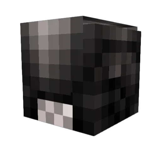 joaquin2004 Minecraft avatar head, 3D render