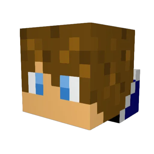 jocafa11 Minecraft avatar head, 3D render