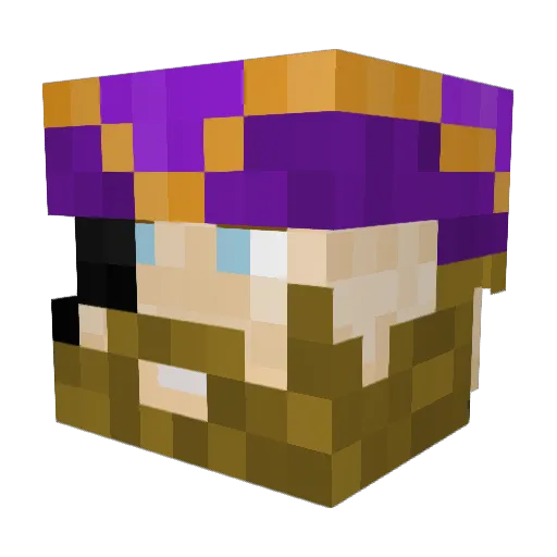 jochem1995 Minecraft avatar head, 3D render