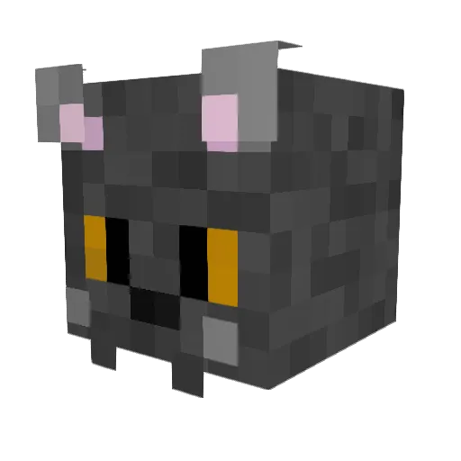 jocomander Minecraft avatar head, 3D render