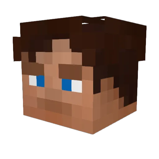 jocopa3 Minecraft avatar head, 3D render