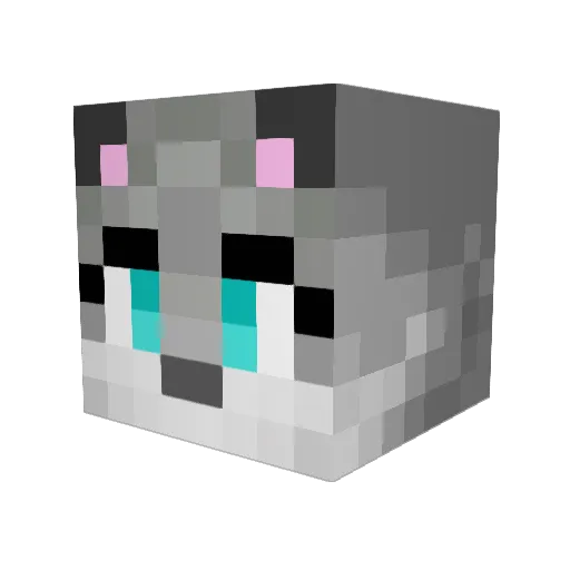 jodycoyote Minecraft avatar head, 3D render