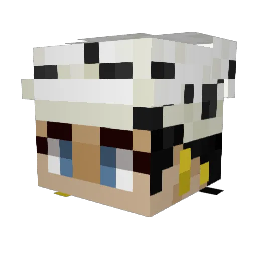 jodycp Minecraft avatar head, 3D render