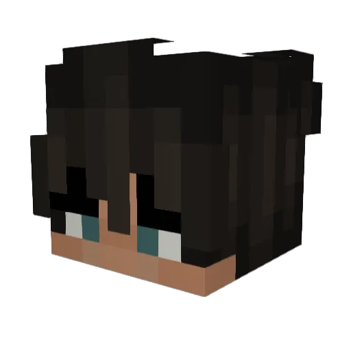 joe__mama1 Minecraft avatar head, 3D render