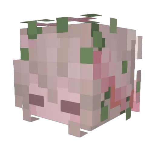 joe_bob121 Minecraft avatar head, 3D render