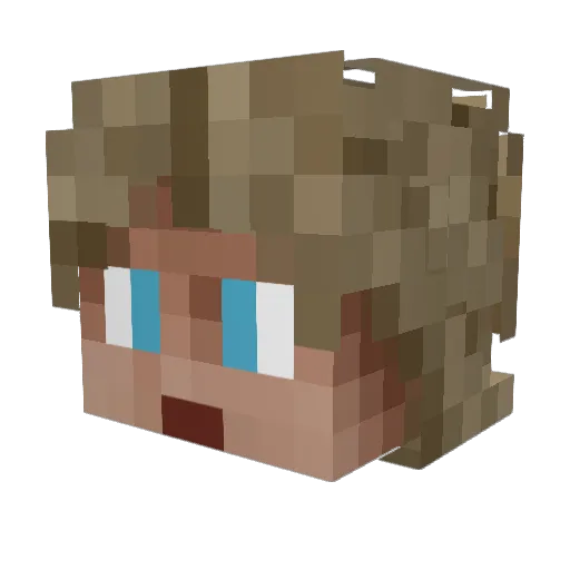 joedawg69 Minecraft avatar head, 3D render