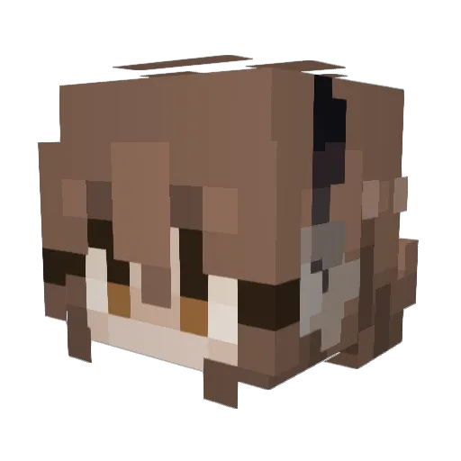 joedear Minecraft avatar head, 3D render