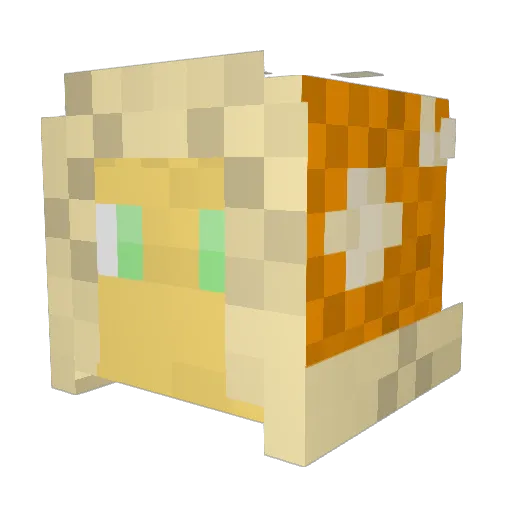 joejoeboy Minecraft avatar head, 3D render