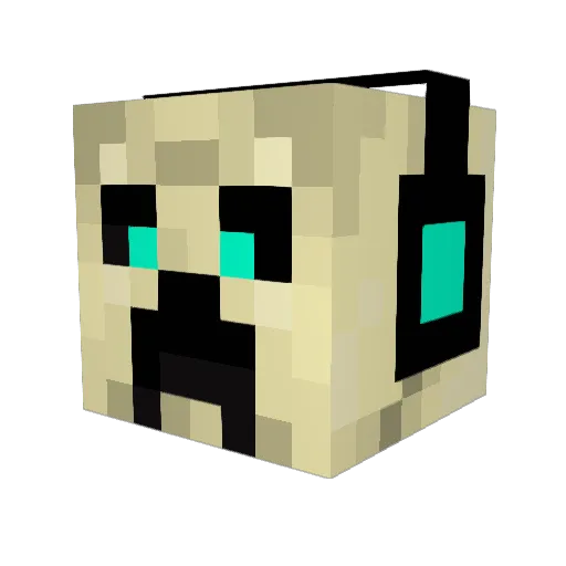 joeking1128 Minecraft avatar head, 3D render