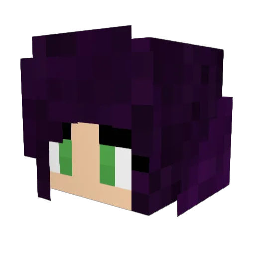 joel456789 Minecraft avatar head, 3D render