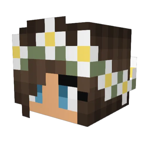 joel65345 Minecraft avatar head, 3D render