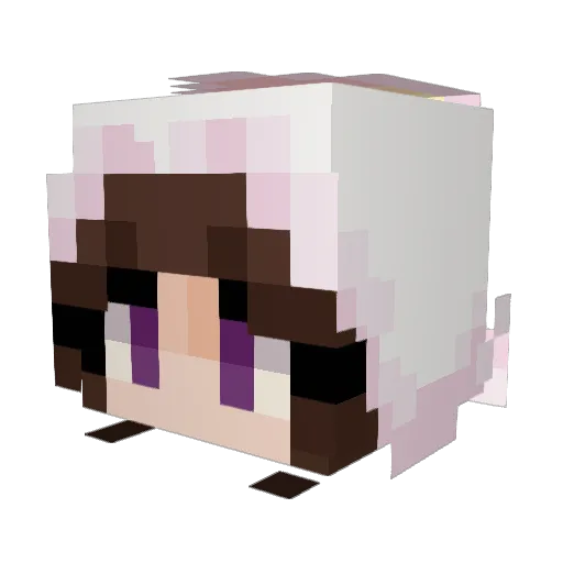 joelleee_o Minecraft avatar head, 3D render