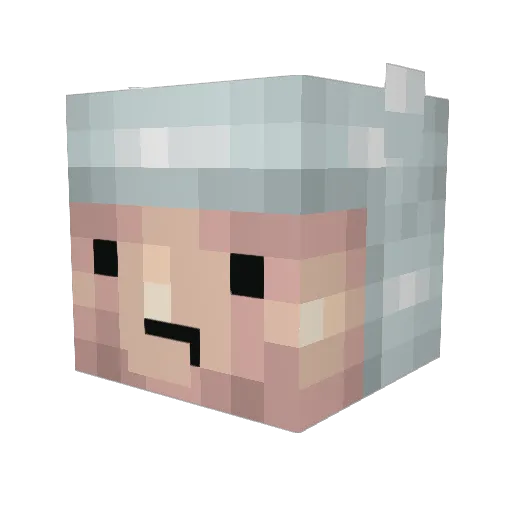 joelu1234 Minecraft avatar head, 3D render