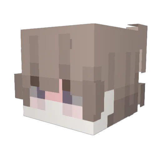 joelw_w Minecraft avatar head, 3D render