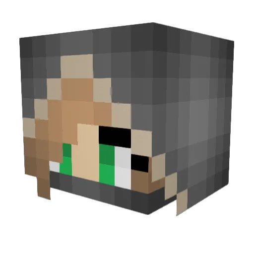 joeph03 Minecraft avatar head, 3D render