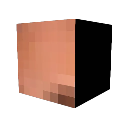 joethe5000 Minecraft avatar head, 3D render