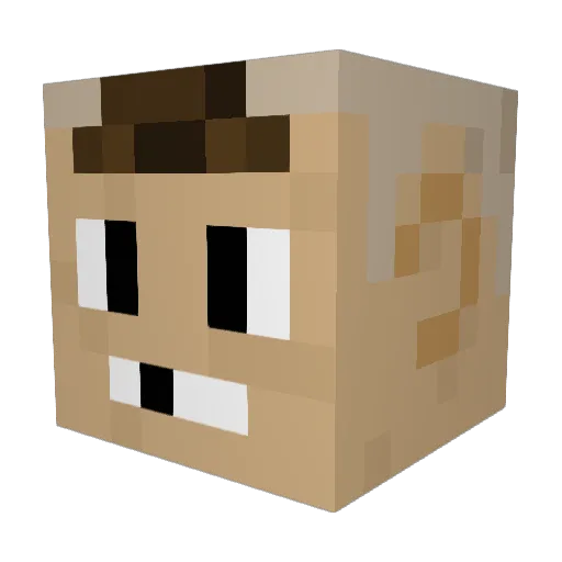 joewtx Minecraft avatar head, 3D render