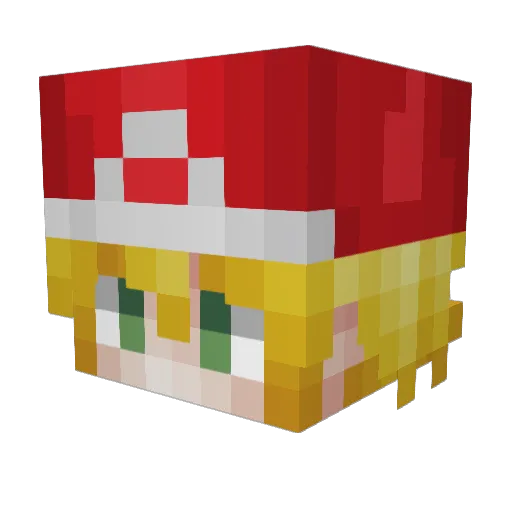 joey2502 Minecraft avatar head, 3D render