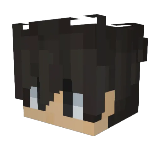 joey_idk Minecraft avatar head, 3D render