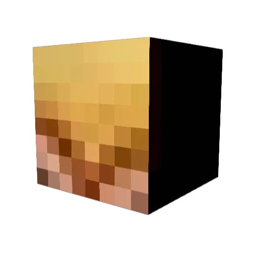 joey_moey Minecraft avatar head, 3D render