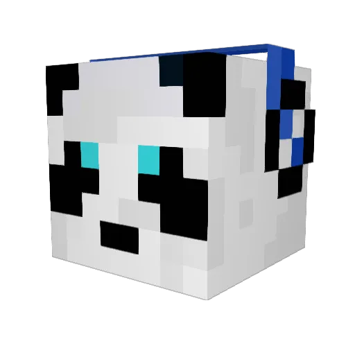 joey_ramone Minecraft avatar head, 3D render