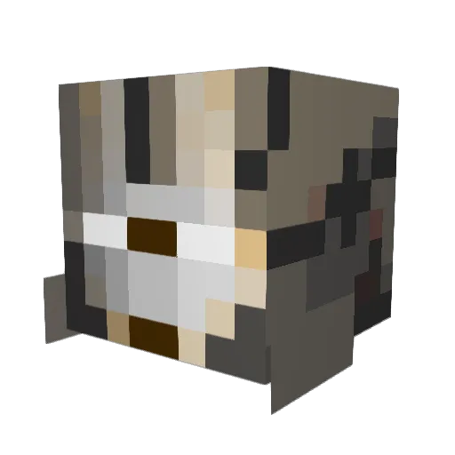 joey_tugman Minecraft avatar head, 3D render