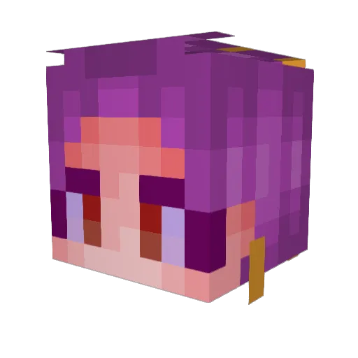joeybleh Minecraft avatar head, 3D render