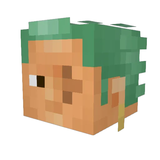 joeyc519 Minecraft avatar head, 3D render