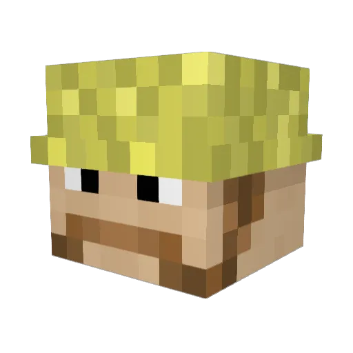 joeyh1999 Minecraft avatar head, 3D render