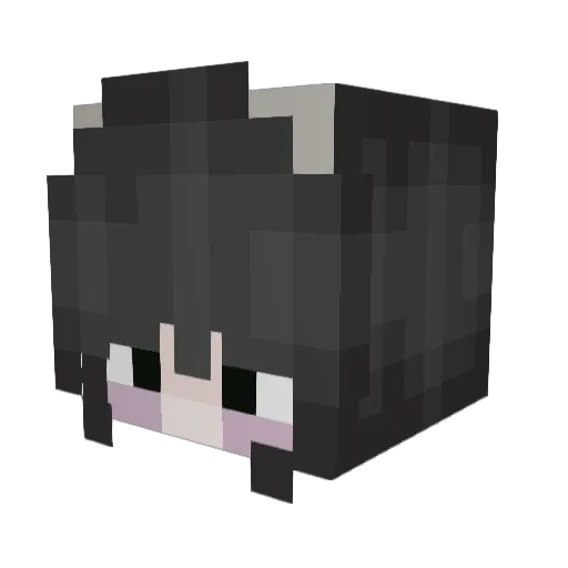 joeyhuskle Minecraft avatar head, 3D render