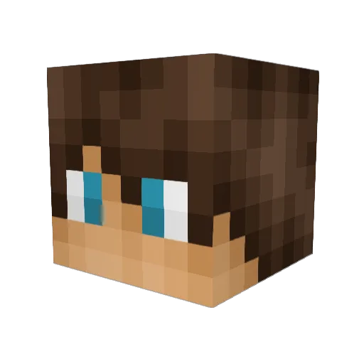 joeyjoe2001 Minecraft avatar head, 3D render