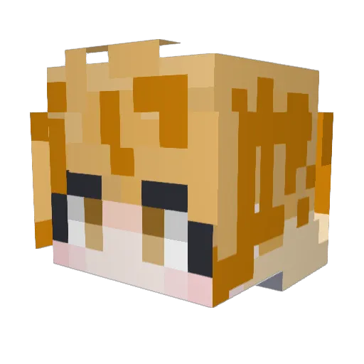 joeyoochan Minecraft avatar head, 3D render