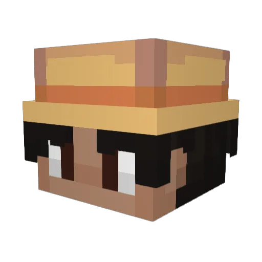 joeythefish9 Minecraft avatar head, 3D render