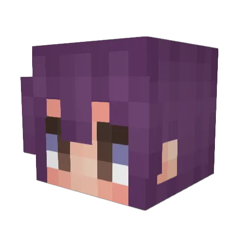 jofri Minecraft avatar head, 3D render