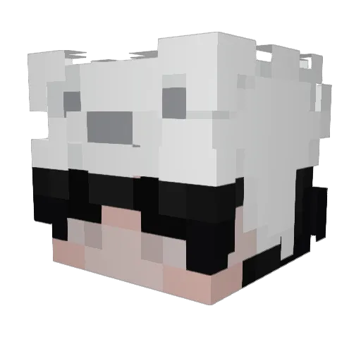 jogieogie Minecraft avatar head, 3D render