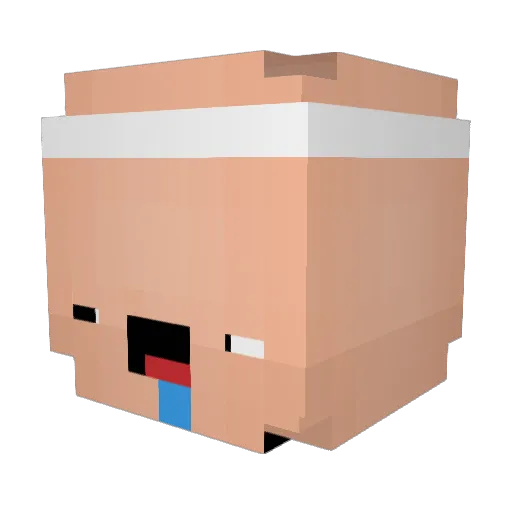 jogri007 Minecraft avatar head, 3D render