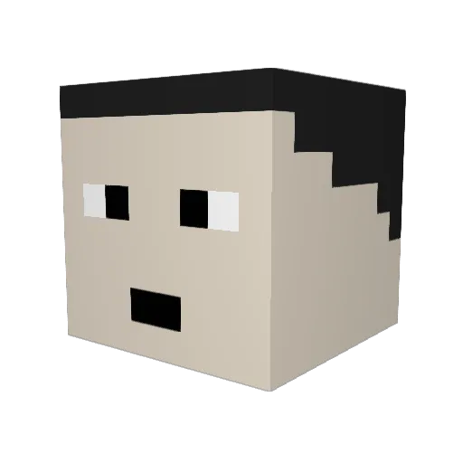 johanepaul Minecraft avatar head, 3D render