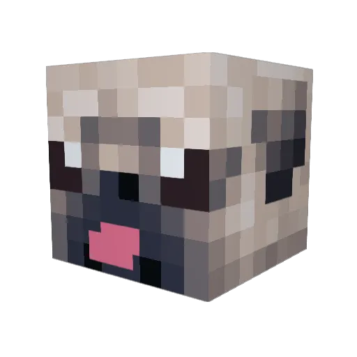 john06219 Minecraft avatar head, 3D render