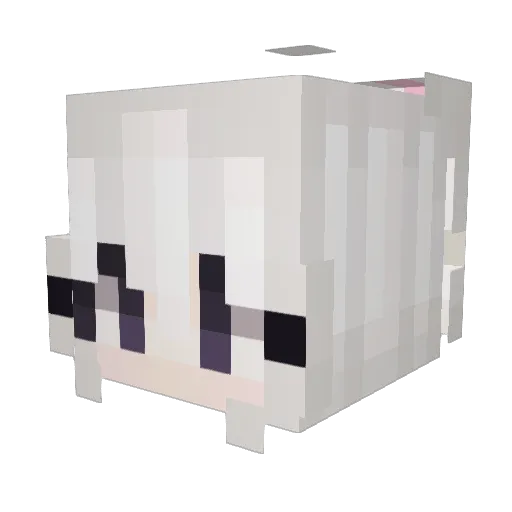 johnfortnite912 Minecraft avatar head, 3D render