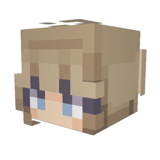 johngallicano15 Minecraft avatar head, 3D render