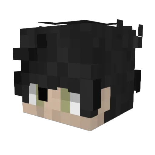 johninreallife Minecraft avatar head, 3D render